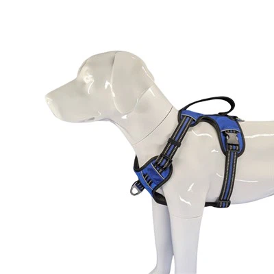 Khai thác chó hạng nặng